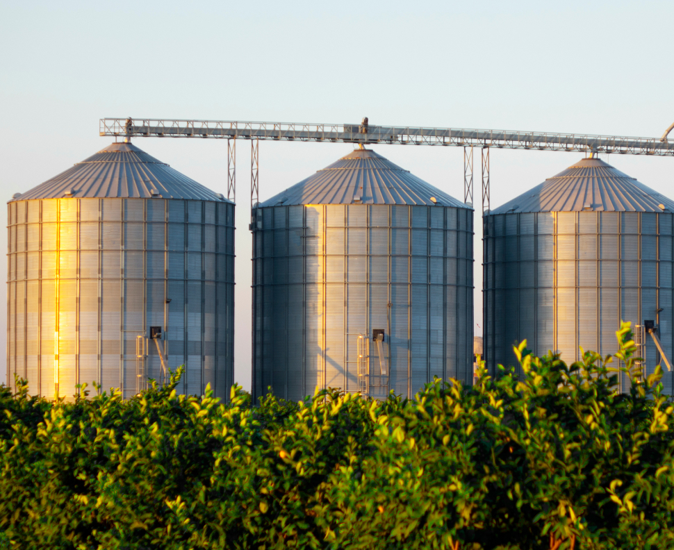 Grain Silos
