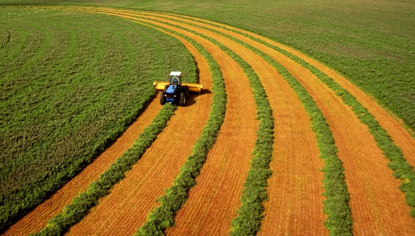 Indy Scale -- Maximize profitability & productivity with the right agribusiness scale solutions.